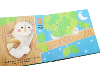 Паперова книга «Flip, Flap, Find! Counting 1, 2, 3», автор Вайолет Пето - фото №12 - мініатюра