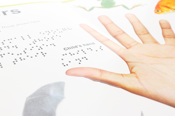 Паперова книга «Braille Animals. Knowledge You Can Touch» - фото №8 - мініатюра