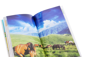 Паперова книга «Eyewitness Travel Guide Serbia» - фото №6 - мініатюра