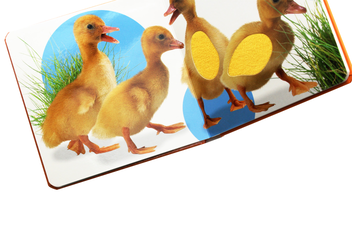 Бумажная книга «Touch and Feel Baby Animals» - фото №6 - миниатюра