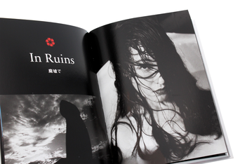 Бумажная книга «Araki. 40th Anniversary Edition», автор Нобуеси Араки - фото №8 - миниатюра