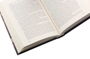 Паперова книга «Ловець невинних душ», автор Донато Каррізі - фото №7 - мініатюра