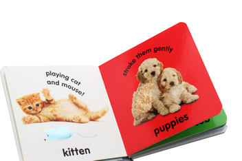 Паперова книга «Baby Touch and Feel. Cuddly Animals», автор Чарлі Гарднер - фото №5 - мініатюра