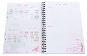  «Планер LifeFLUX Beauty Master's Planner Классический (LFBPUPCL021)», бренда LifeFLUX - фото №4 - миниатюра