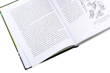 Паперова книга «Цікаве мовознавство», автор Кирило Булахловський - фото №7 - мініатюра