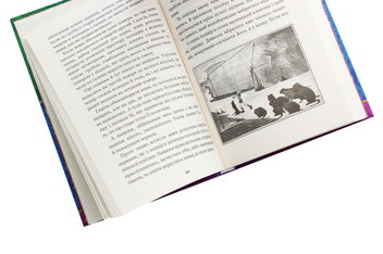 Бумажная книга «Чудесна мандрівка Нільса Гольгерсона з дикими гусьми», автор Сельма Лагерлёф - фото №5 - миниатюра