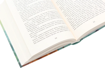 Паперова книга «Останній ельф», автор Сільвана Де Марі - фото №5 - мініатюра