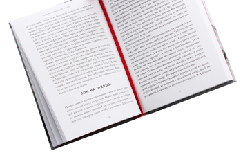Паперова книга «Чим ми займалися в ліжку. Історія ліжка і його вплив на біографії великих людей», авторів Брайан Фаган, Надя Дуррані - фото №5 - мініатюра