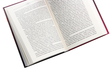 Паперова книга «Суча дочка», автор Валентина Мастєрова - фото №5 - мініатюра