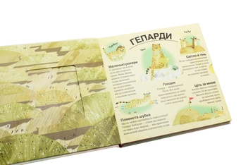 Бумажная книга «Хто ховається між листям й у воді?», автор Павла Ганачкова - фото №5 - миниатюра