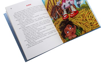 Паперова книга «Мешканці старого двору», автор Роман Росіцький - фото №7 - мініатюра