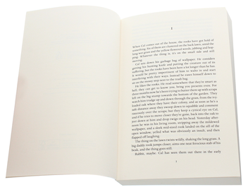 Паперова книга «The Searcher», автор Тана Френч - фото №4 - мініатюра
