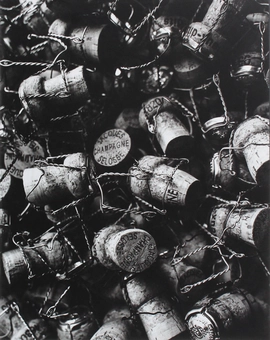 Бумажная книга «Champagne: The Essential Guide To The Wines, Producers And Terriors Of The Iconic Region», автор Питер Лим - фото №4 - миниатюра