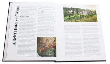Паперова книга «The World Atlas of Wine 8th Edition», авторів Хью Джонсон, Дженсіс Робінсон - фото №5 - мініатюра