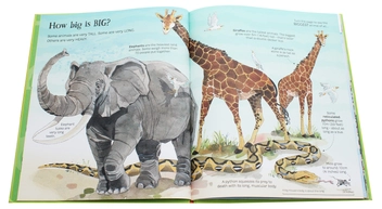 Бумажная книга «The Usborn Big Book of Animals», автор Хазел Мэскелл - фото №4 - миниатюра