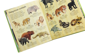 Бумажная книга «The Usborn Big Book of Animals», автор Хазел Мэскелл - фото №6 - миниатюра