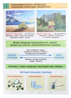 Бумажная книга «Я досліджую світ. Природнича освітня галузь. Таблиці. 3 клас», авторов Наталья Будная, Татьяна Гладюк - фото №2 - миниатюра