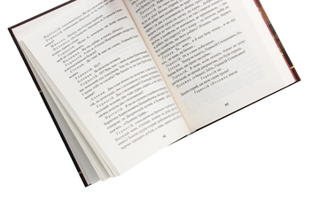 Бумажная книга «Мартин Боруля. Хазяїн. Сто тисяч», автор Иван Карпенко-Карый - фото №5 - миниатюра