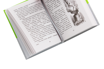 Бумажная книга «Алісині пригоди у Дивокраї», автор Льюис Кэрролл - фото №5 - миниатюра