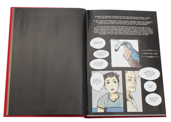 Бумажная книга «Miss Peregrine's Home For Peculiar Children. The Graphic Novel», автор Ренсом Риггз - фото №4 - миниатюра