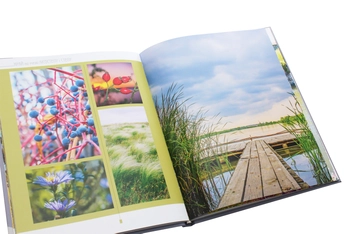 Бумажная книга «Кіровоградщина. Край на межі лісостепу і степу. Фотоальбом» - фото №5 - миниатюра