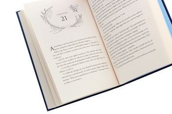 Паперова книга «Холлі Блек (комплект із 6 книг)», авторів Голлі Блек, Мелорі Блекман, Наомі Алдерман - фото №10 - мініатюра