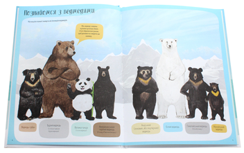 Паперова книга «Ведмежа книга», автор Кейті Віґґерс - фото №4 - мініатюра