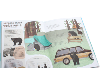 Паперова книга «Ведмежа книга», автор Кейті Віґґерс - фото №5 - мініатюра