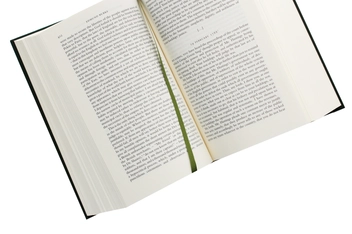Бумажная книга «Reflections on The Revolution in France And Other Writings», автор Эдмунд Берк - фото №6 - миниатюра
