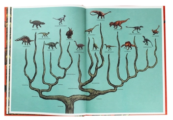 Паперова книга «Dinosaurium», автор Лілі Мюррей - фото №6 - мініатюра