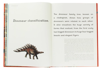 Паперова книга «Dinosaurium», автор Лілі Мюррей - фото №7 - мініатюра
