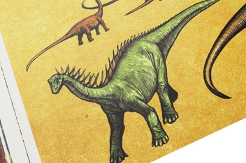 Паперова книга «Dinosaurium», автор Лілі Мюррей - фото №10 - мініатюра