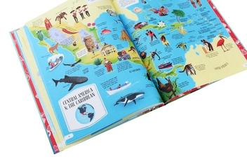 Бумажная книга «Big Picture Atlas», автор Эмили Боун - фото №8 - миниатюра