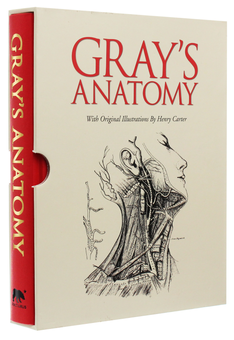Бумажная книга «Grays Anatomy» - фото №4 - миниатюра