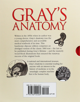 Бумажная книга «Grays Anatomy» - фото №3 - миниатюра