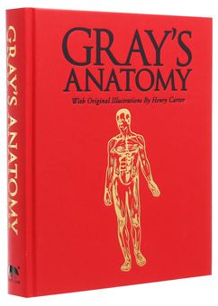 Бумажная книга «Grays Anatomy» - фото №5 - миниатюра