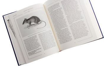 Бумажная книга «On the Origin of Species», автор Чарльз Роберт Дарвин - фото №7 - миниатюра