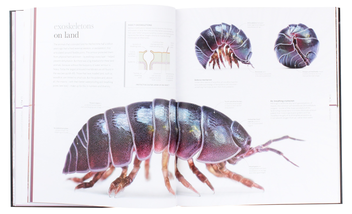 Бумажная книга «The Science of Animals. Inside Their Secret World», автор Крис Пэкхэм - фото №7 - миниатюра