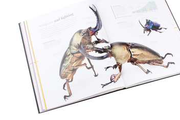 Бумажная книга «The Science of Animals. Inside Their Secret World», автор Крис Пэкхэм - фото №8 - миниатюра