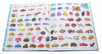 Бумажная книга «1000 Things Under the Sea», автор Джессика Гринвелл - фото №5 - миниатюра