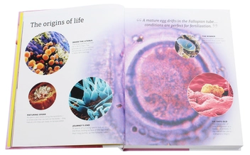 Паперова книга «Your Pregnancy Week By Week. What to Expect from Conception to Birth», авторів Леслі Ріган, Джо Лі Сімпсон - фото №4 - мініатюра