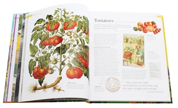 Бумажная книга «The Story of Food: An Illustrated History of Everything We Eat», автор Джайлс Корен - фото №5 - миниатюра