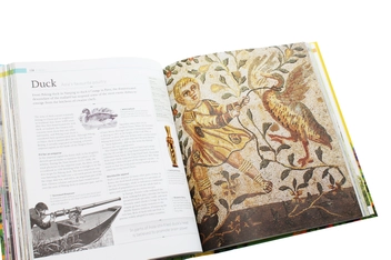 Бумажная книга «The Story of Food: An Illustrated History of Everything We Eat», автор Джайлс Корен - фото №6 - миниатюра