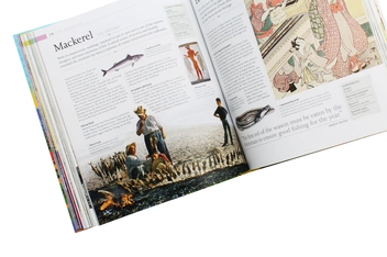 Бумажная книга «The Story of Food: An Illustrated History of Everything We Eat», автор Джайлс Корен - фото №7 - миниатюра