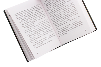 Паперова книга «Серафіна і Чорна мантія. Книга 1», автор Роберт Бітті - фото №5 - мініатюра