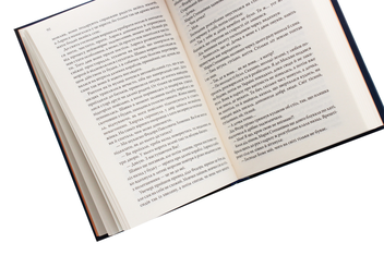 Паперова книга «Грішниця», автор Олена Печорна - фото №5 - мініатюра
