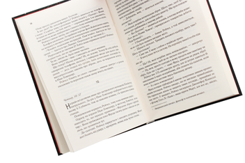 Бумажная книга «Ланцюг», автор Эдриан Маккинти - фото №5 - миниатюра