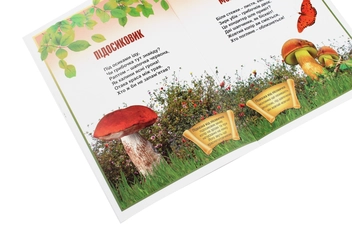 Паперова книга «В щедрім лісі виріс гриб!», автор Ніна Гаврилюк - фото №5 - мініатюра