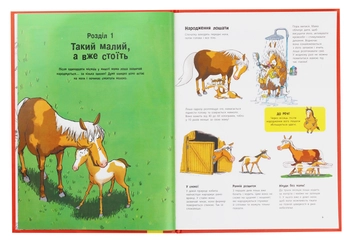 Паперова книга «Усе про коней... і не тільки», авторів Грегуар Мабір, Антуанетта Делілль - фото №5 - мініатюра