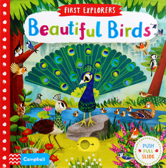 Паперова книга «Beautiful Birds» - фото №1 - мініатюра